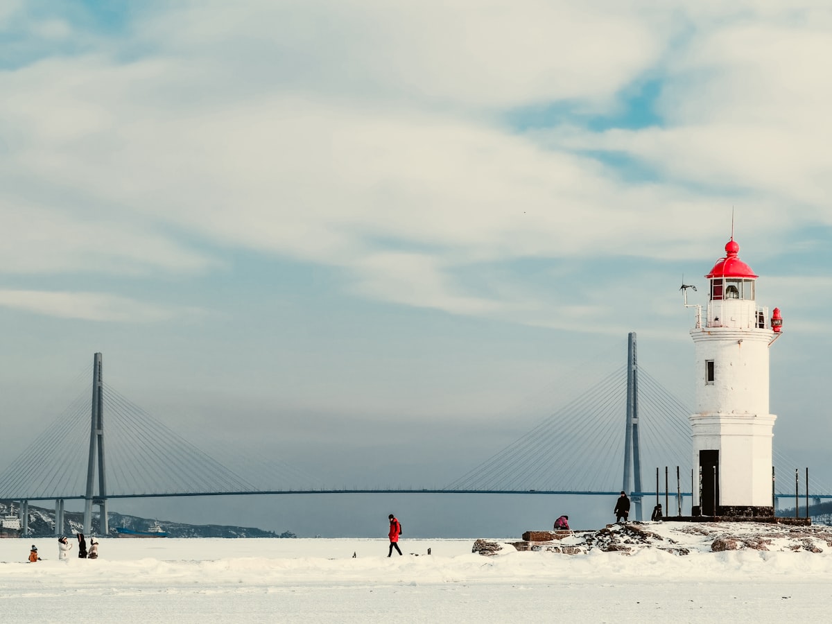 people on beach during daytime