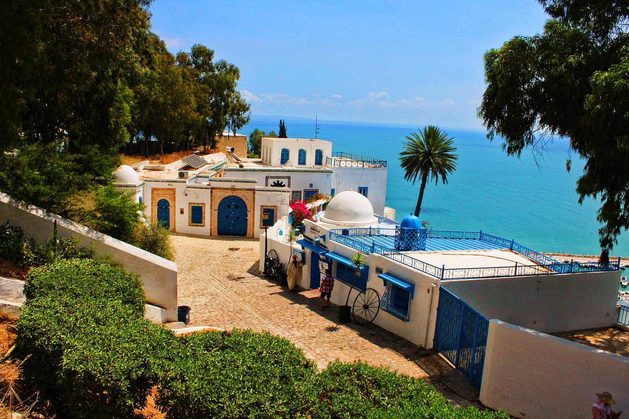 tunis, sidi bou said, tunisia, holiday, sidi-bou-said, travel, tunis, tunis, tunis, tunis, tunis, tunisia, tunisia
