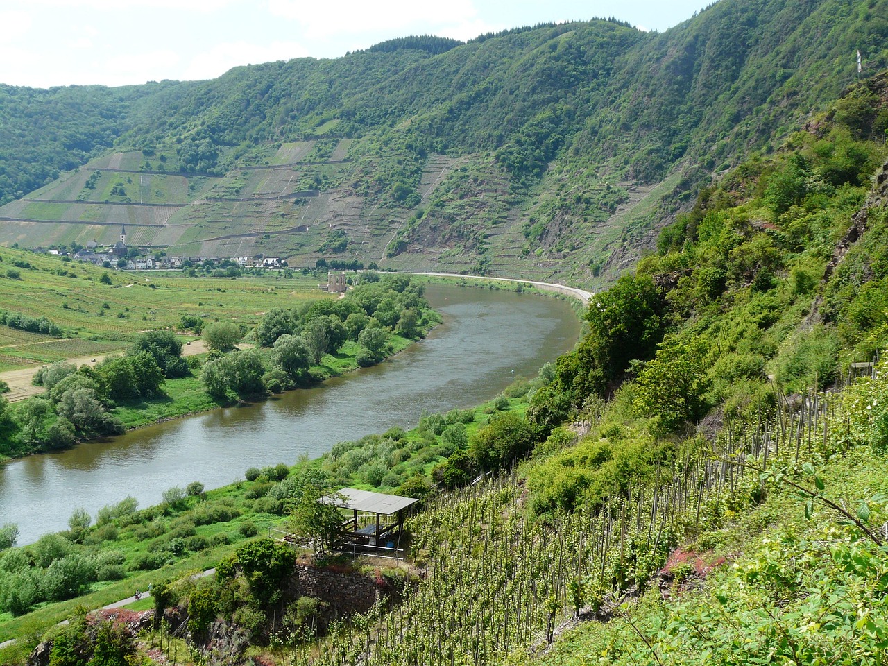 vineyard, steep slope, wine growing, viticulture, moselle, moselle wine, slate, grapevines, bremm, rhineland-palatinate, germany