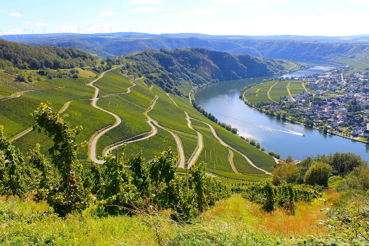 moselle, flow, vineyards, landscape