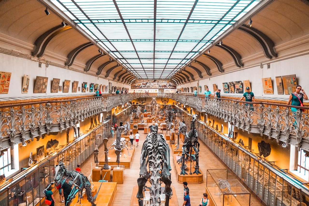 museum, dinosaur, dino, fossil, paleontology, extinct, prehistoric, evolution, ancient, jurassic, history, bones, archeology, predator, tourism, brown dinosaur, educational, museum, museum, museum, museum, museum, dinosaur, dinosaur, evolution