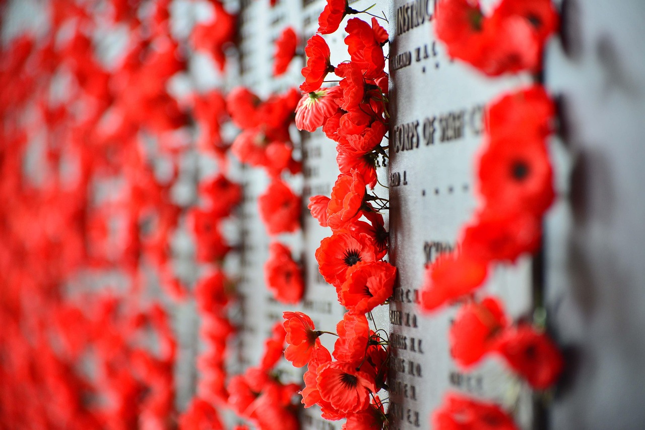 war memorial, canberra, poppies, memorial, war, australia, capital, australian, landmark, architecture, red war, red memory, war memorial, war memorial, war memorial, war memorial, war memorial, canberra, canberra, canberra