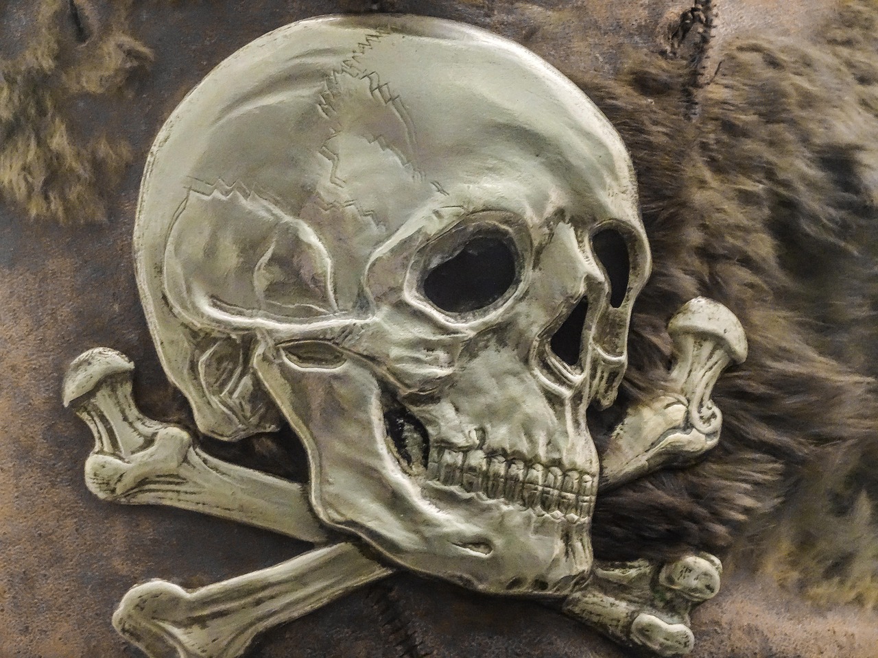 skull, logo, pirate, bones, skeleton, war, plague, destruction