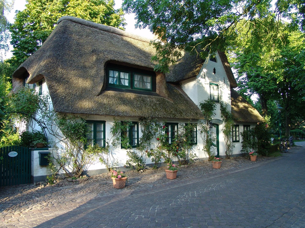 house, reed, thatched roof, holstein, thatched, schleswig-holstein, thatched roof, thatched roof, thatched roof, thatched roof, thatched roof, holstein, schleswig-holstein, schleswig-holstein, schleswig-holstein