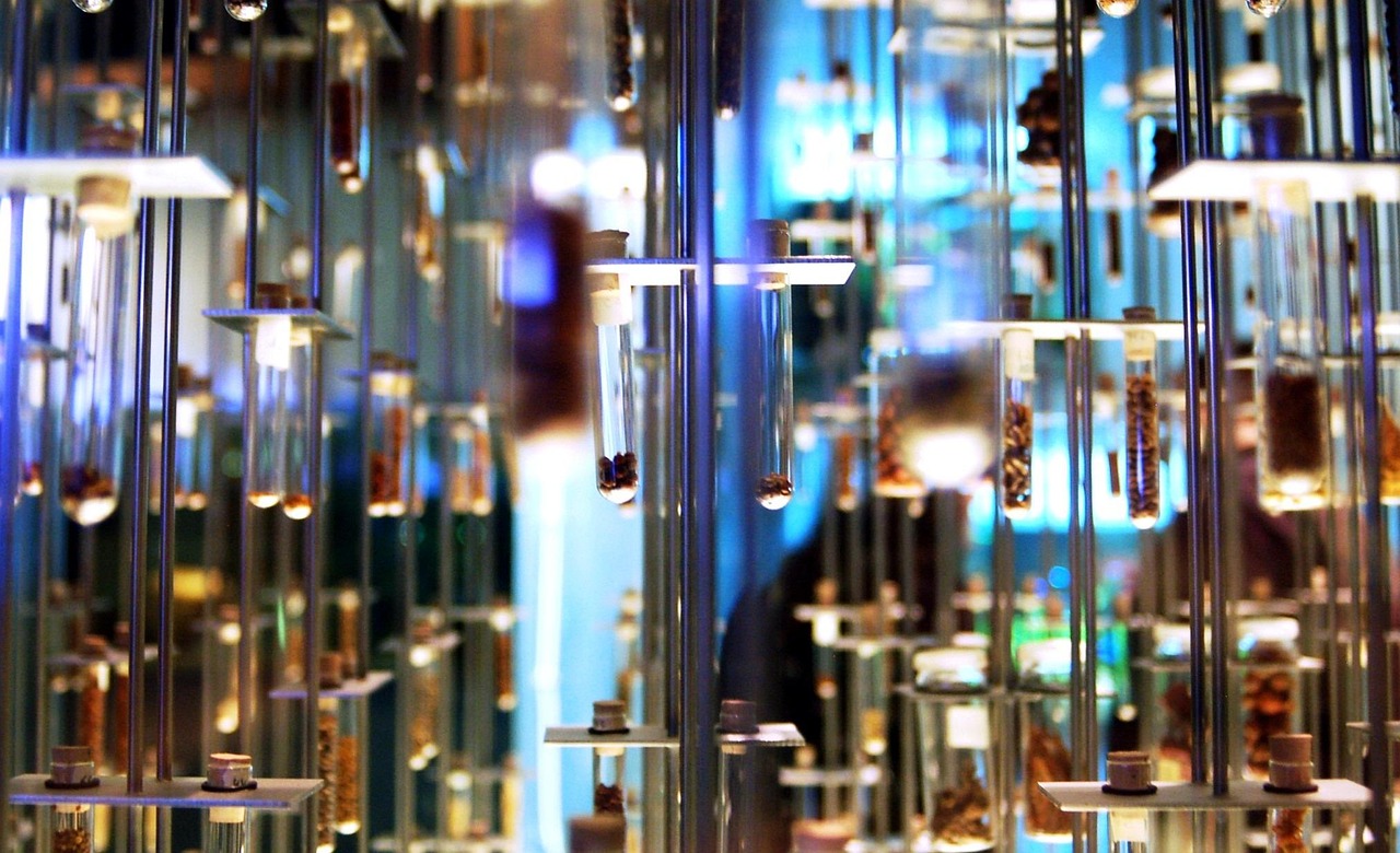 provetas, science, museum, seeds, test tube, to experience, investigation, research, proof, test tube, test tube, investigation, investigation, investigation, investigation, investigation, research, research, research