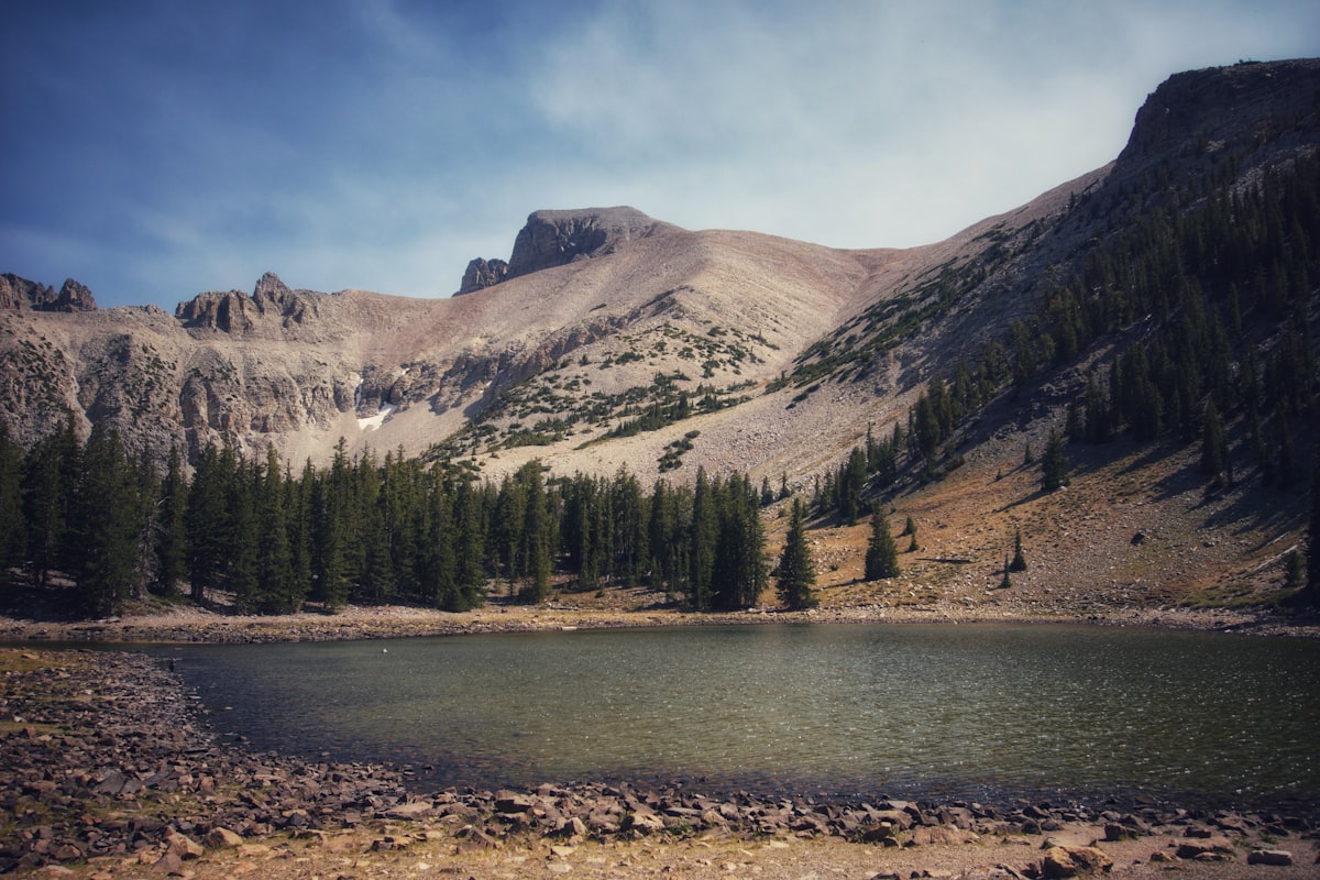 green pine trees near lake and mountain under blue sky during daytime