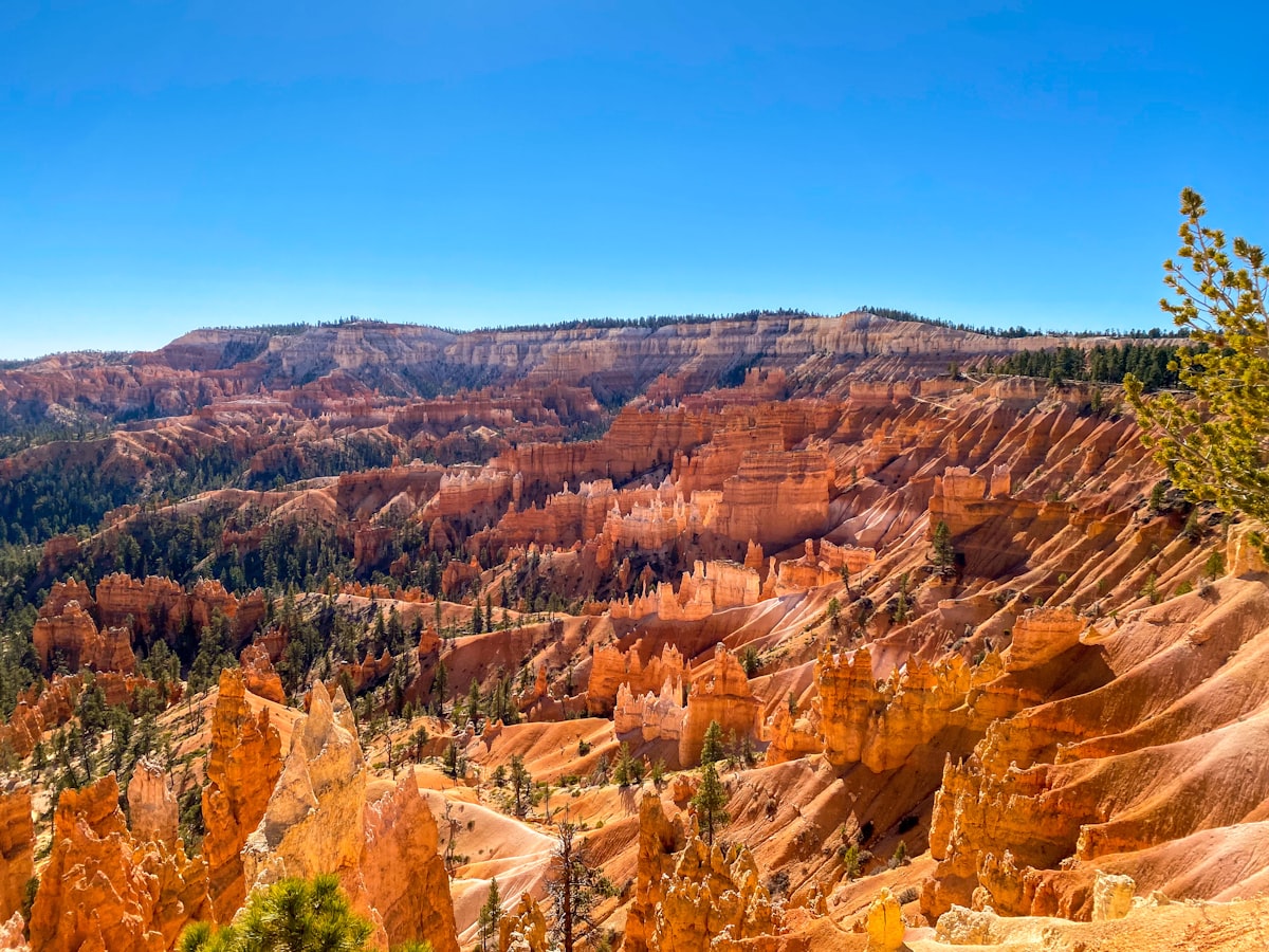 a scenic view of a mountain range with trees in the foreground