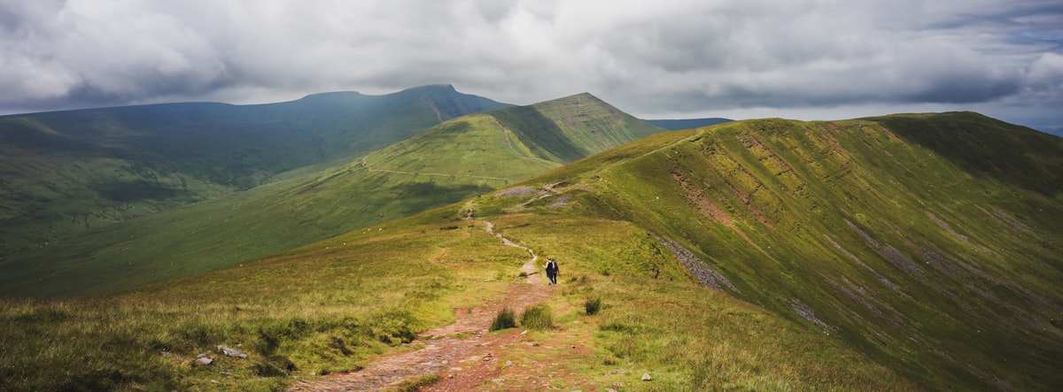 A man riding a mountain bike down a lush green hillside