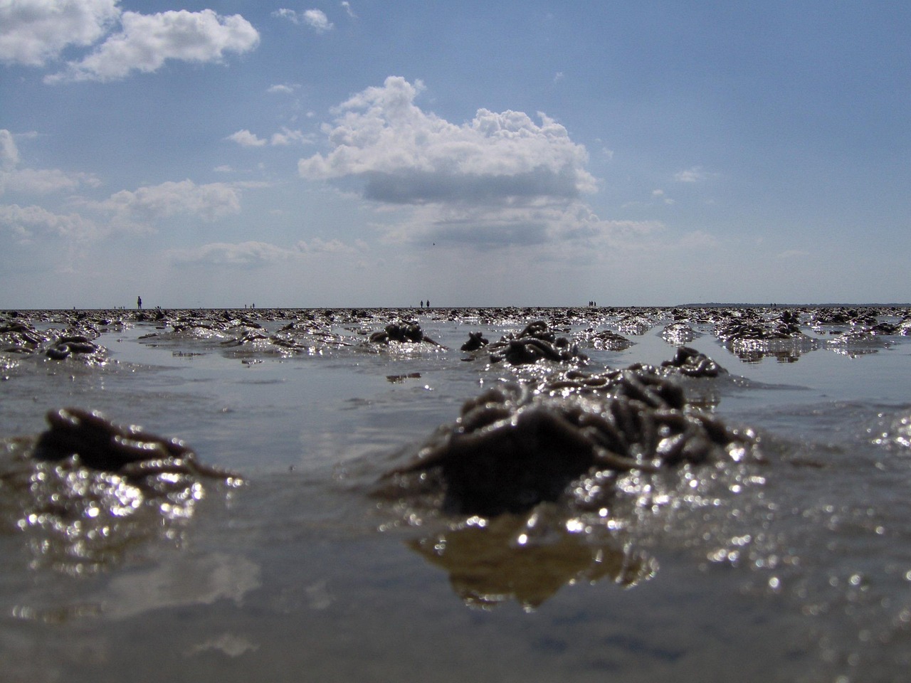 ebb, wadden sea, watt floor, sea, national park, north sea, nature, clouds, heaven, blue, world natural heritage, mudflat hike, schleswig-holstein, lugworm poop, intertidal zone, low water, sandwatt, lugworm pile