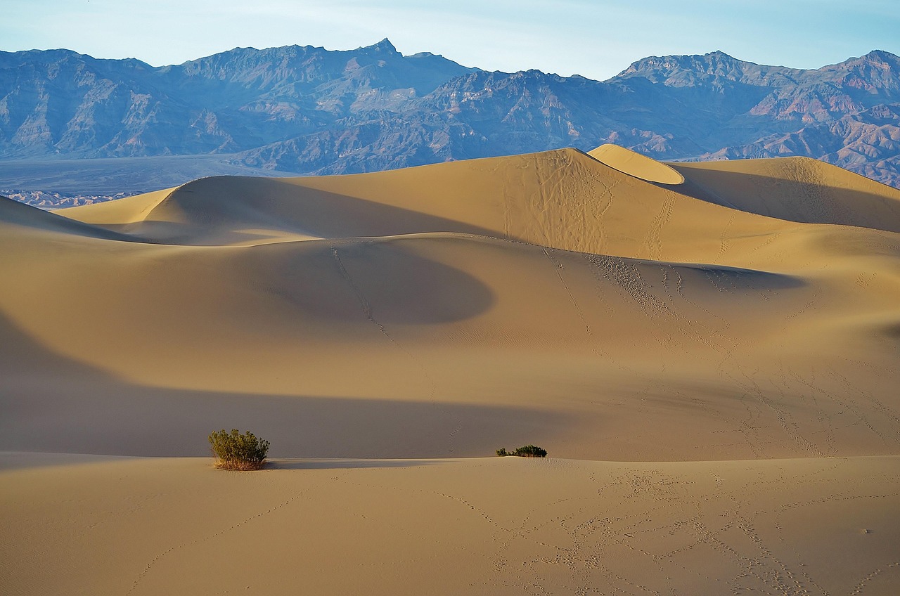 mesquite flats, sand dunes, desert, death valley national park, national park, california, usa, tourism, mountains, landscape, wilderness, nature, scenery, scenic, desert, desert, desert, desert, desert, national park, california, california, california