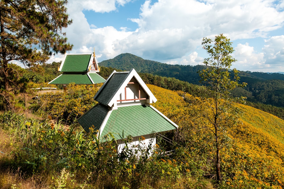 Two houses nestled in a field of yellow flowers.