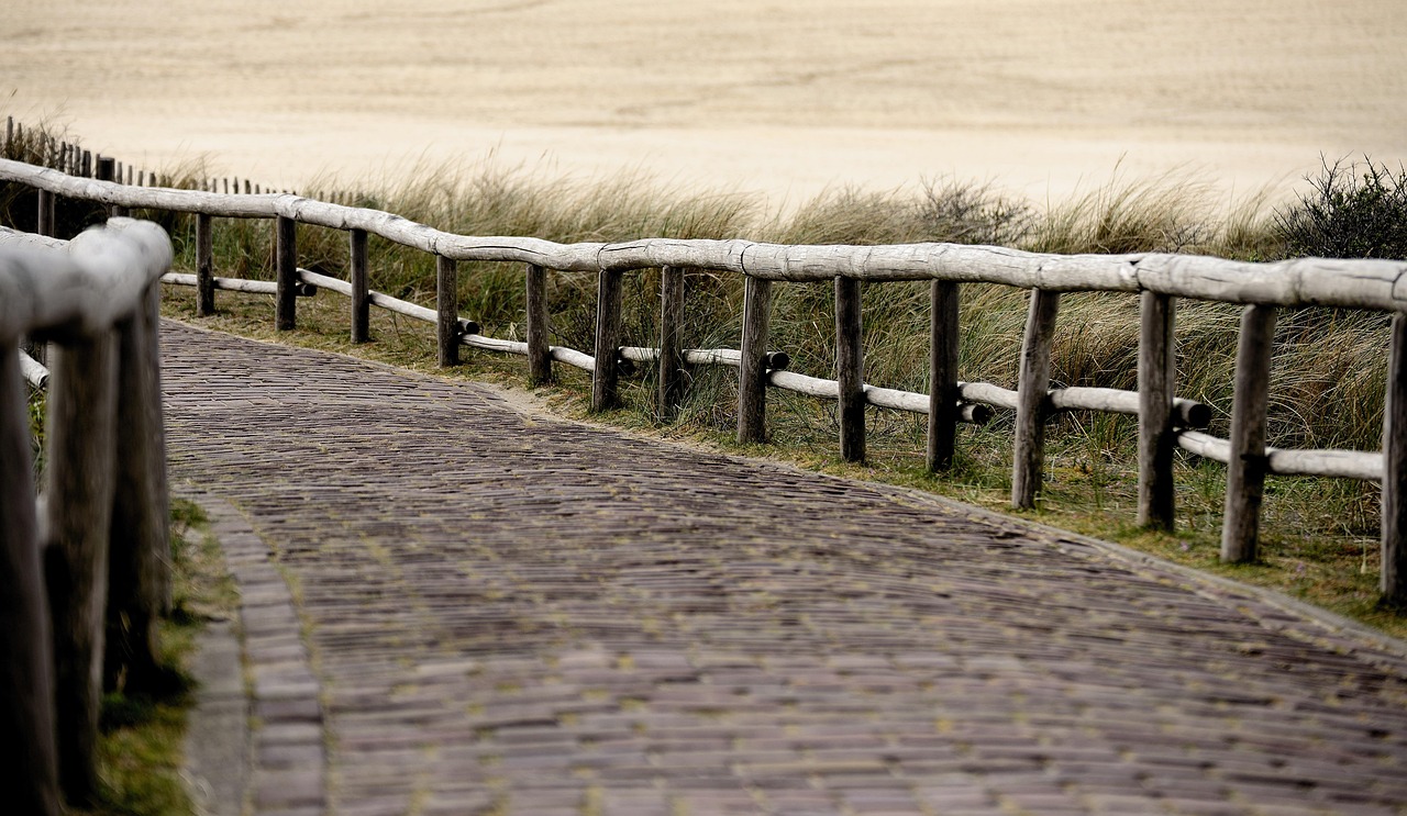 path, pavement, north sea, texel, nature, paved, beach, sand, dune grass, wooden posts, limitation, rise