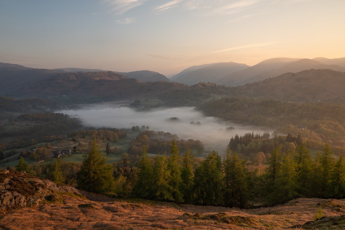 a foggy valley with trees and mountains in the background
