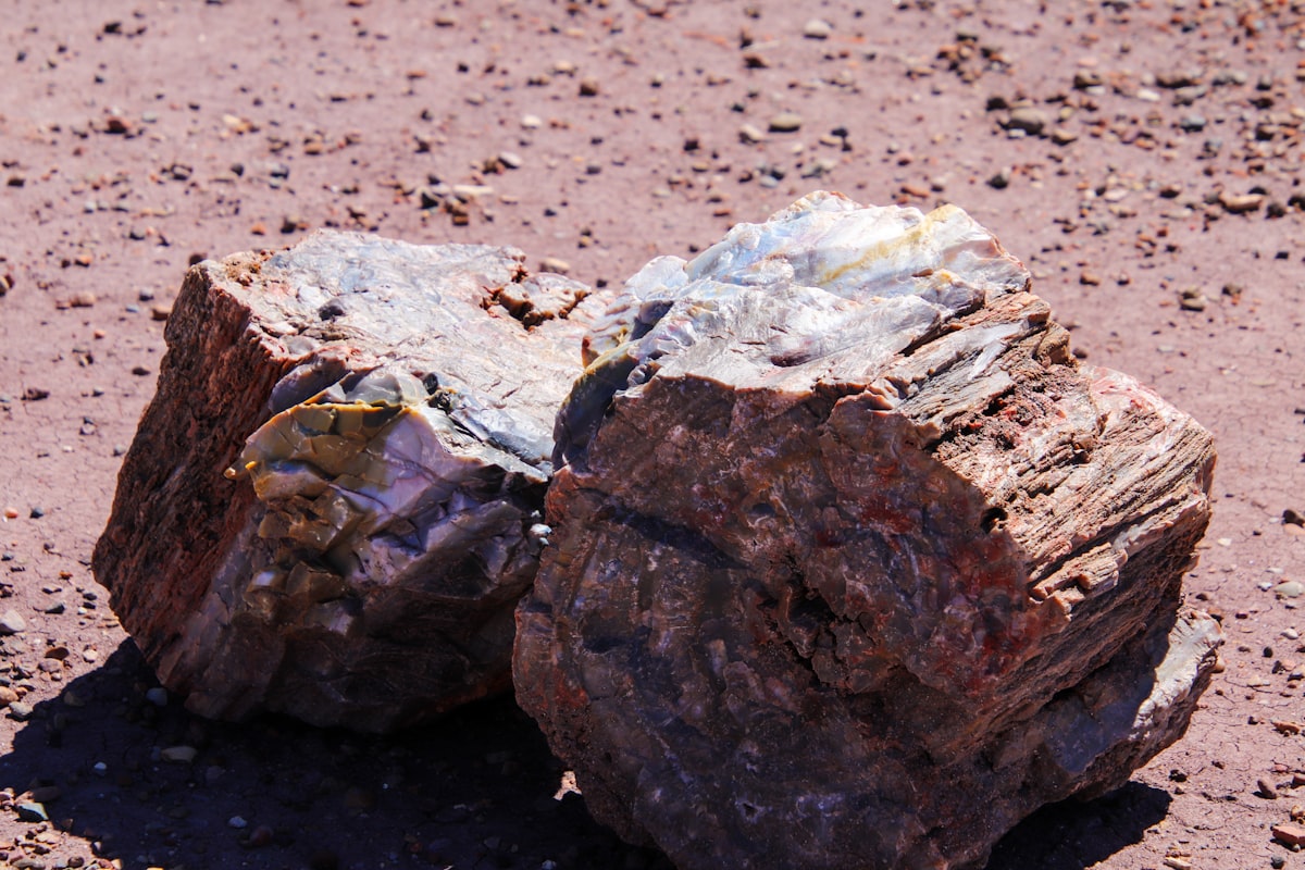 A couple of rocks sitting on top of a dirt field