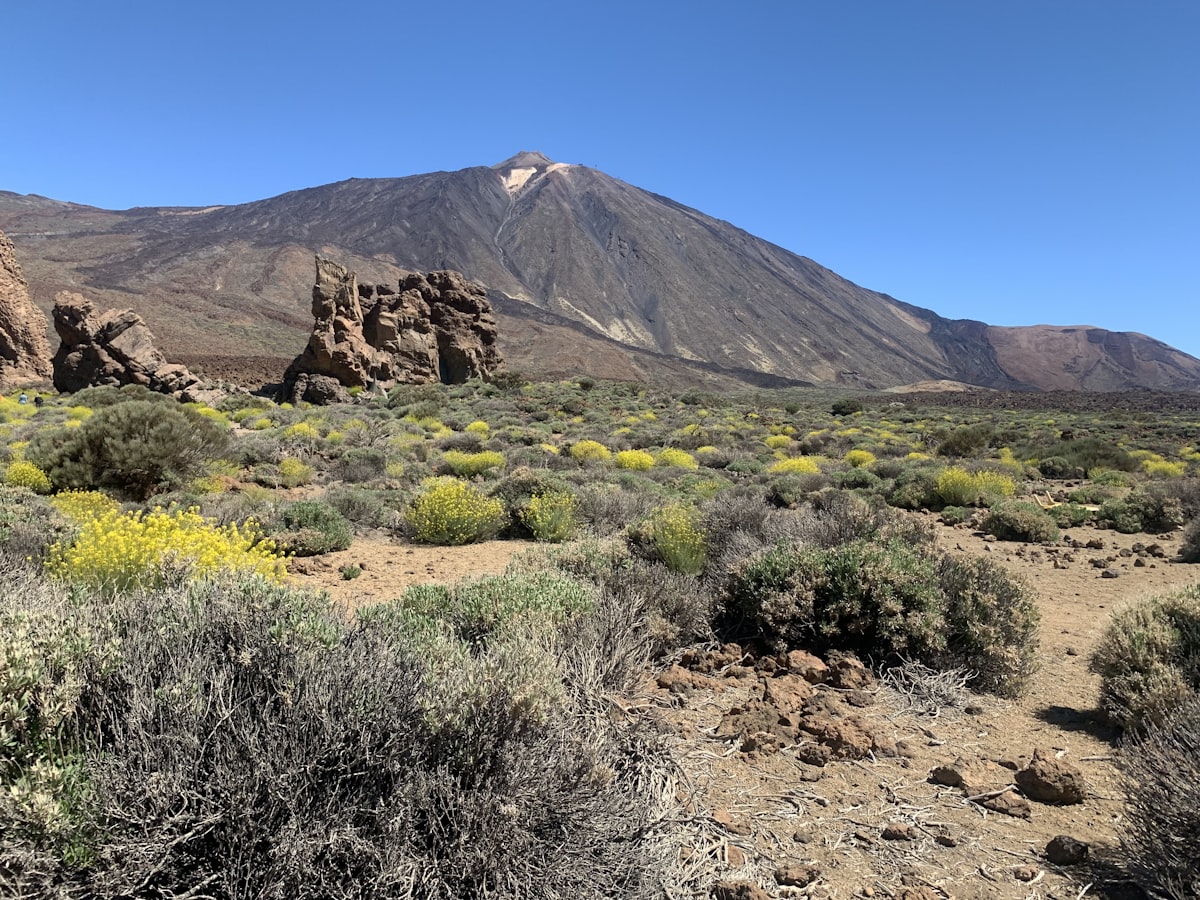 a desert landscape with Teide in the background
