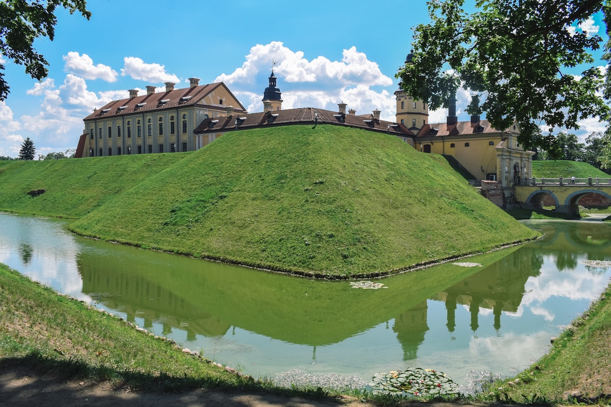 green grass field near body of water during daytime