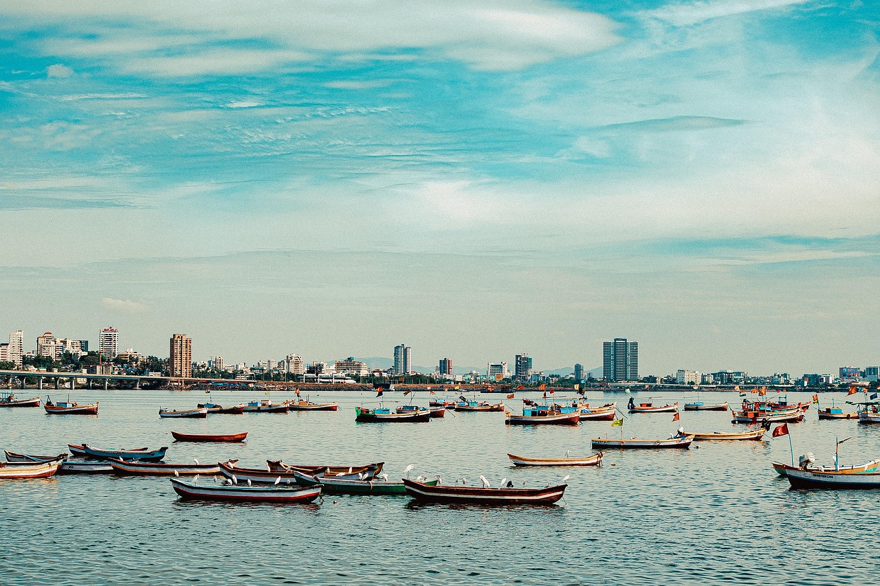 boats, sea, skyline, nature, cityscape, fishing boats, sky, birds, mumbai, india