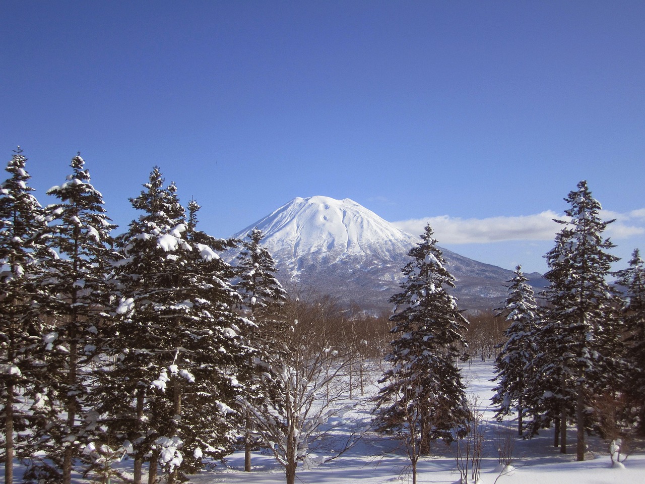 mount yotei, nature, niseko, japan, ski, snow, snowboard, powder snow, winter, to ski, mountains, deep snow, freeride