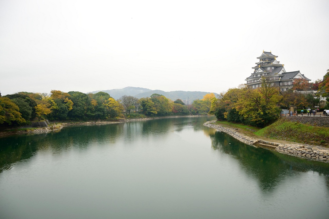 okayama, castle, yellow, leaf, nature, river, autumn, leaves, road