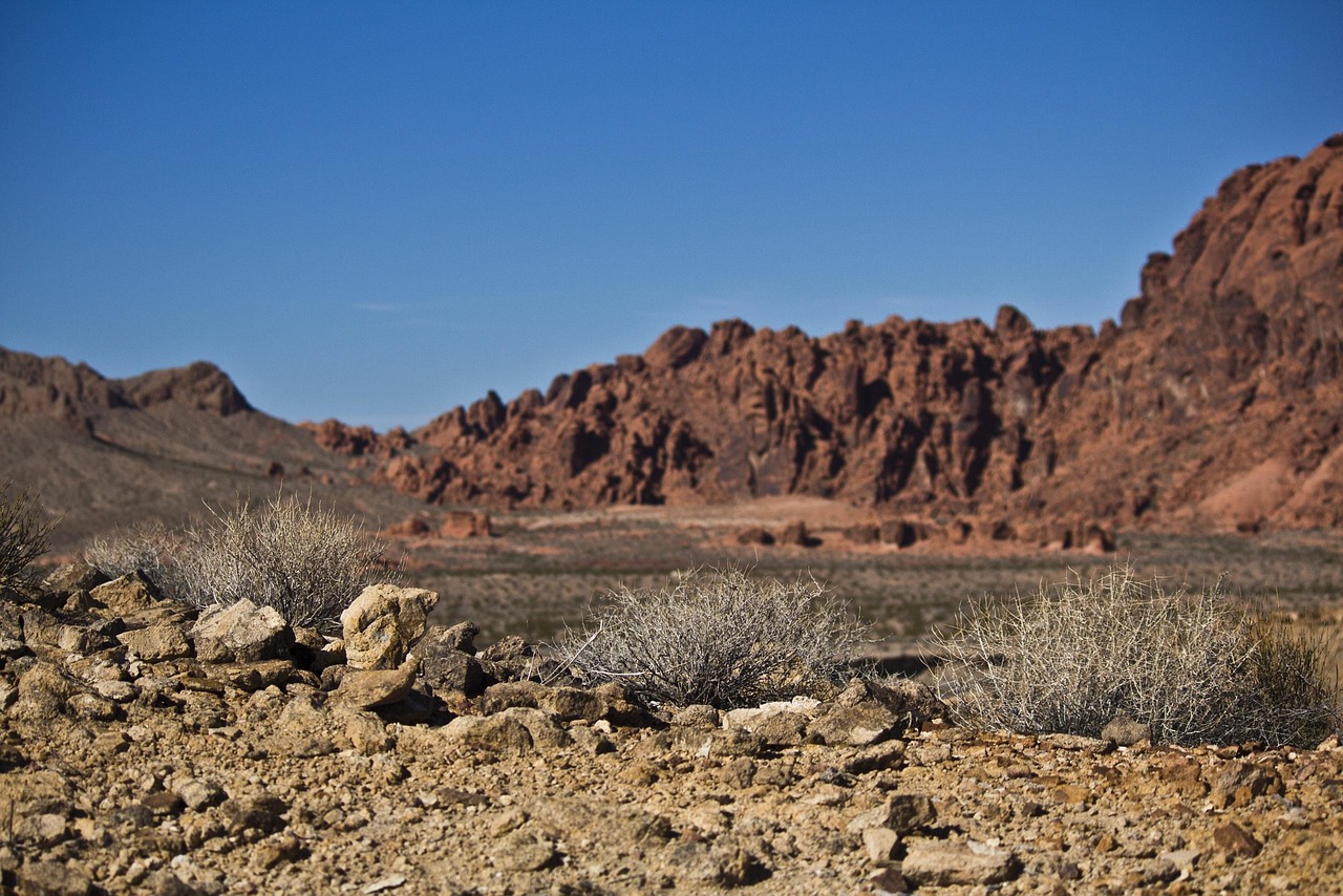 valley of fire state park, desert, nev, nevada, landscape, south, mountain, natural, rocks, formation, southwest, travel, america, valley, fire, state, park, nature, mojave, geology, brown fire