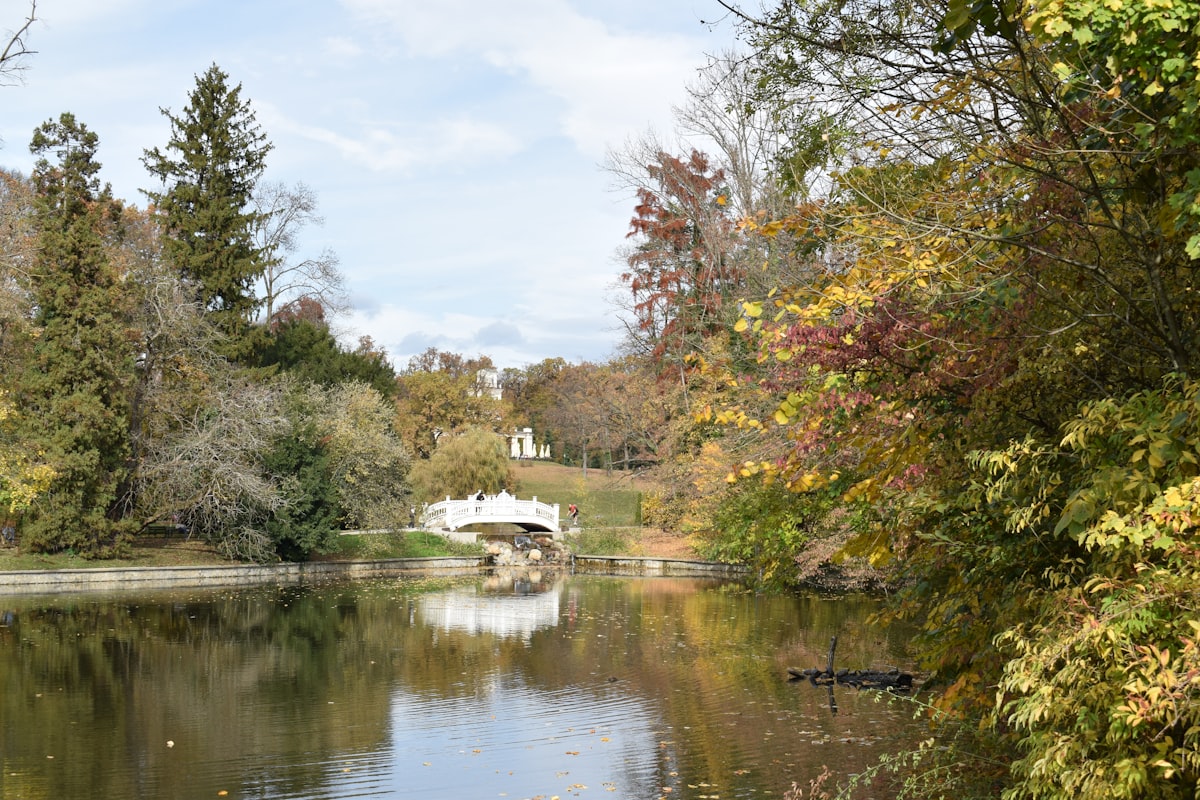 Autumn park with a lake and a white bridge