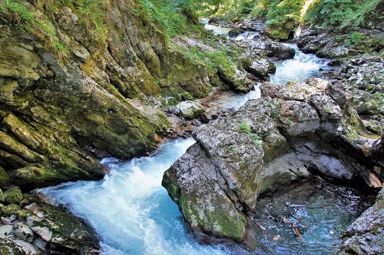 the vintgar gorge, vintgar, gorge, julian alps, torrent, slovenia, river, wild water, tourism, natural attractions, clear water, tourist attraction, vintgar, vintgar, vintgar, vintgar, vintgar