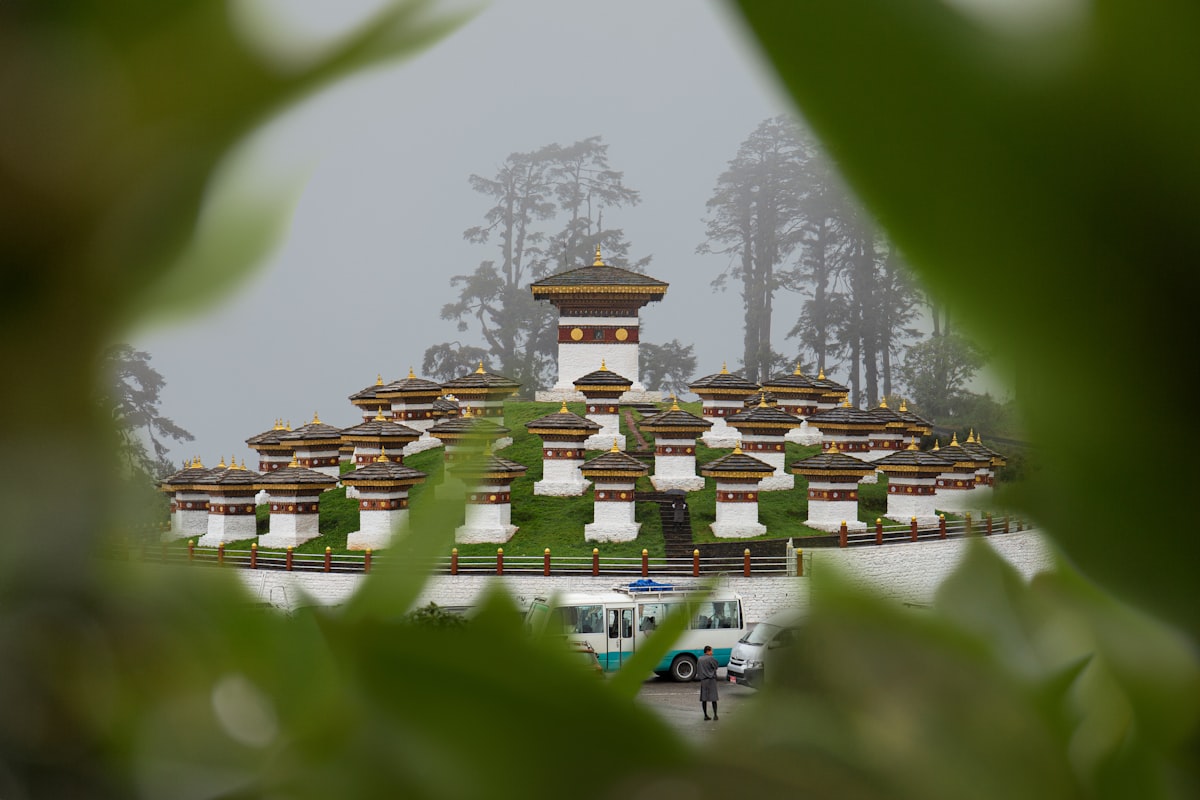 A view of a building through the leaves of a tree