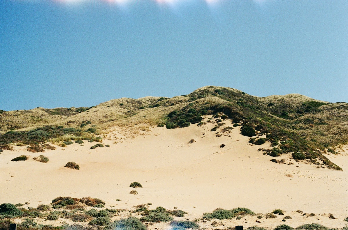 a group of people on a beach flying kites