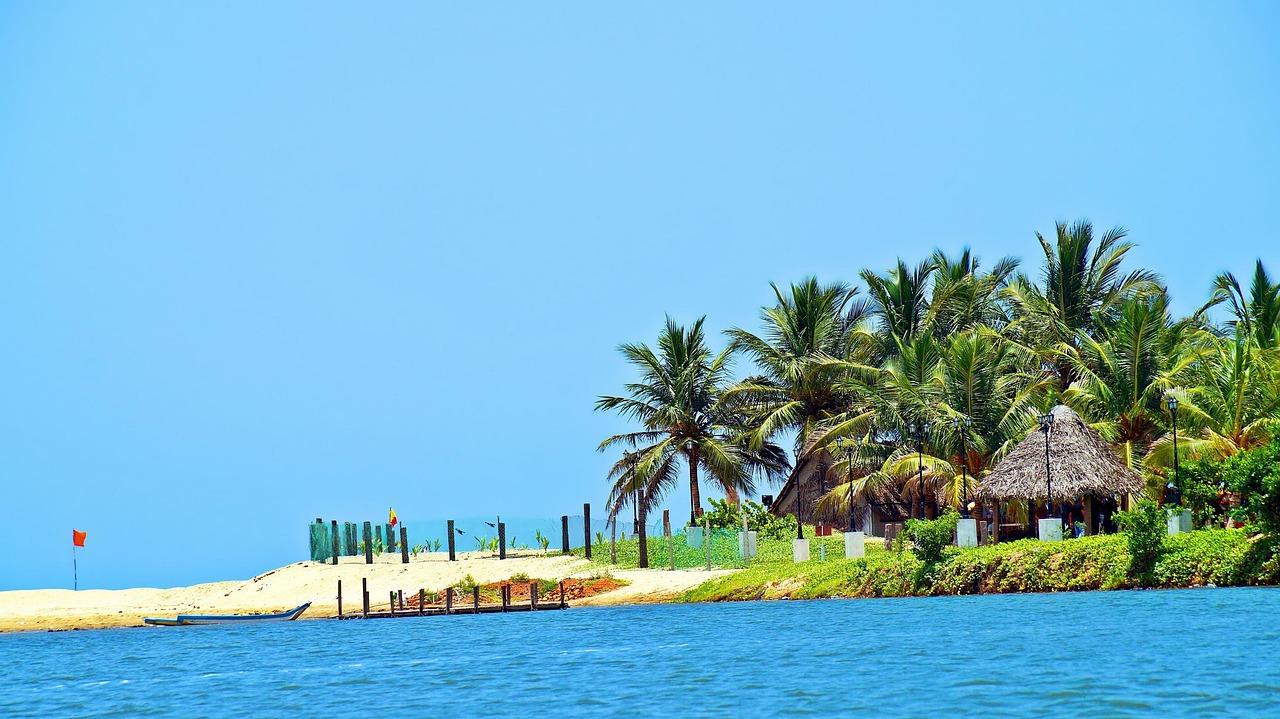 beach, coconut tree, nature, paradise