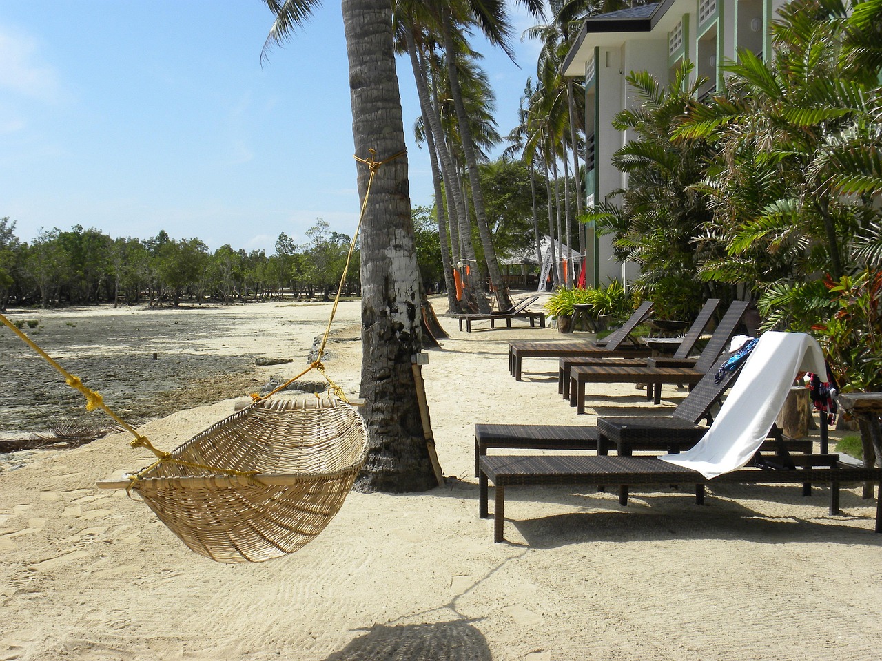 beach, sea, hammock, coconut tree, sand, coconut, palm, tree, nature, exotic