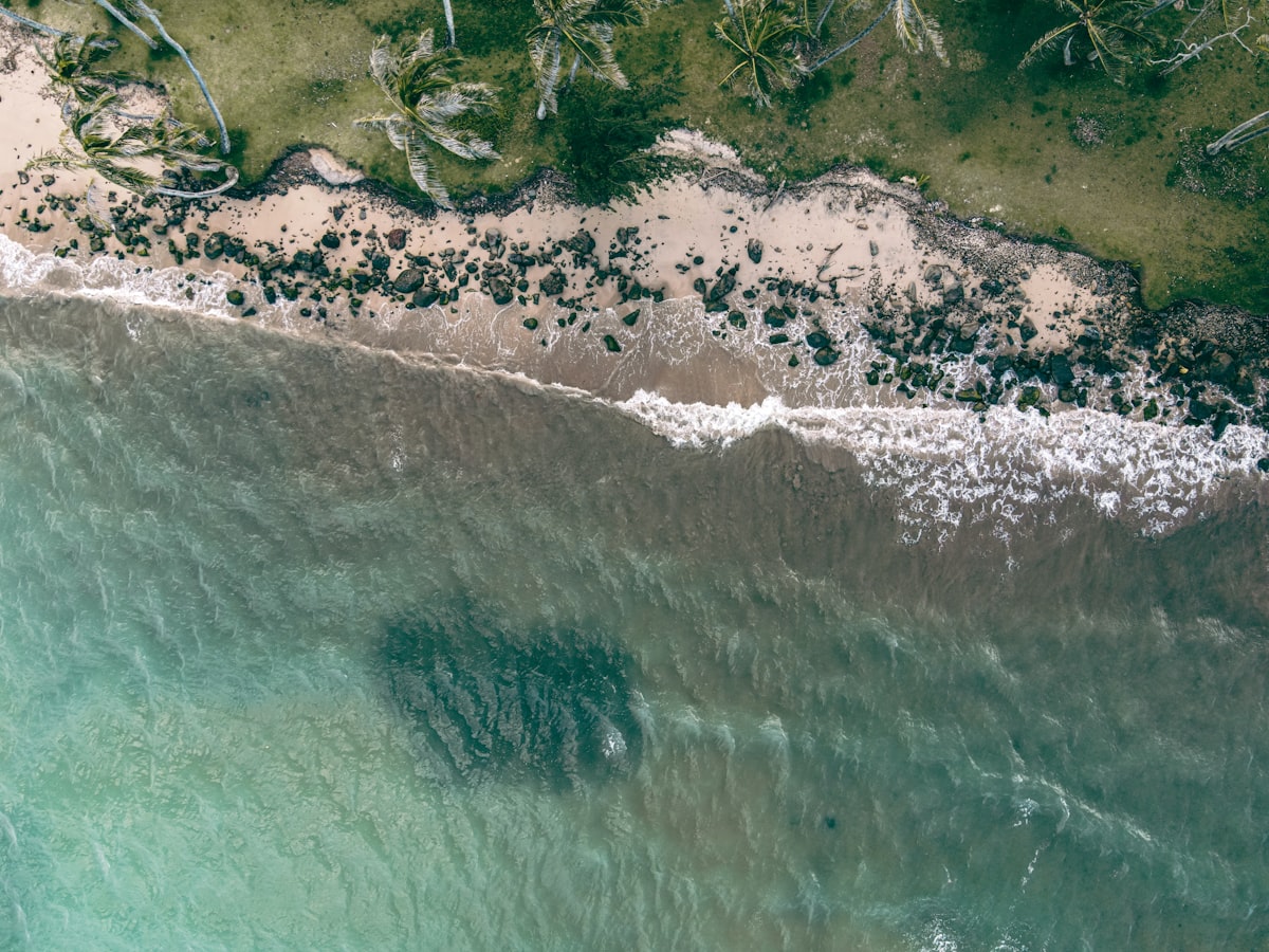 a body of water with a rocky shore and trees