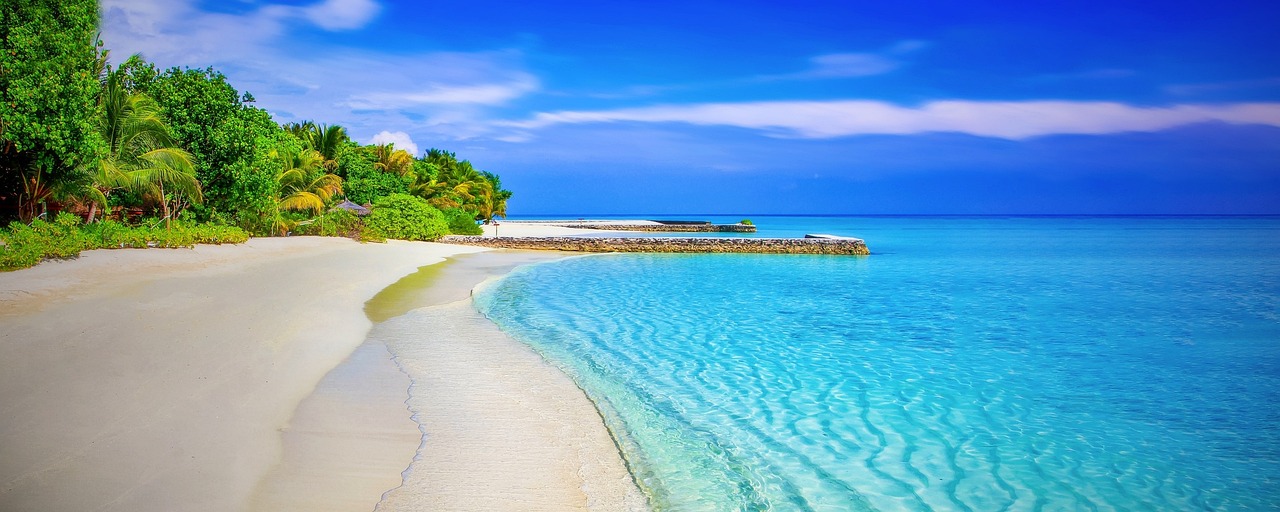 beach, sea, panorama, panoramic, blue sea, blue ocean, horizon, seascape, tropical, tropical island, shore, seashore, coast, coastline, sandy beach, paradise, palm trees, ocean, nature, water, holiday, white sand, exotica, blue, warm, relax, exotic, island, secluded beach