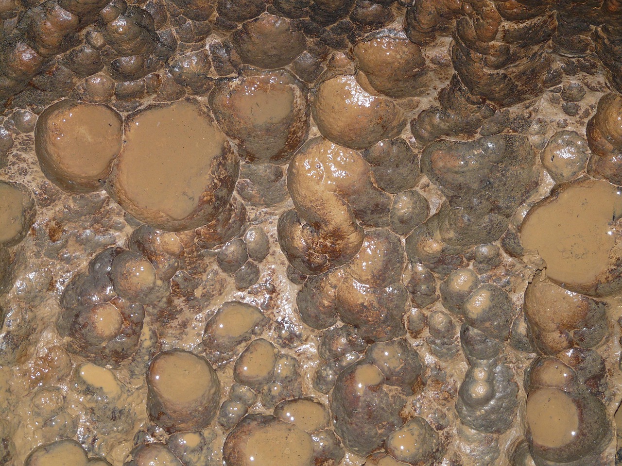 cave floor, washouts, water cave, river cave, erosion, cave floor, cave floor, cave floor, cave floor, cave floor, washouts