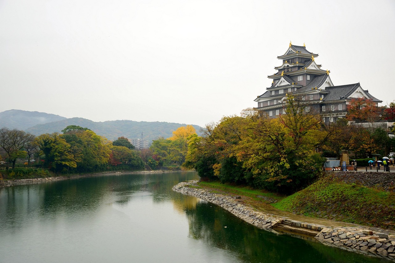 okayama, castle, leaf, river, nature, autumn, leaves