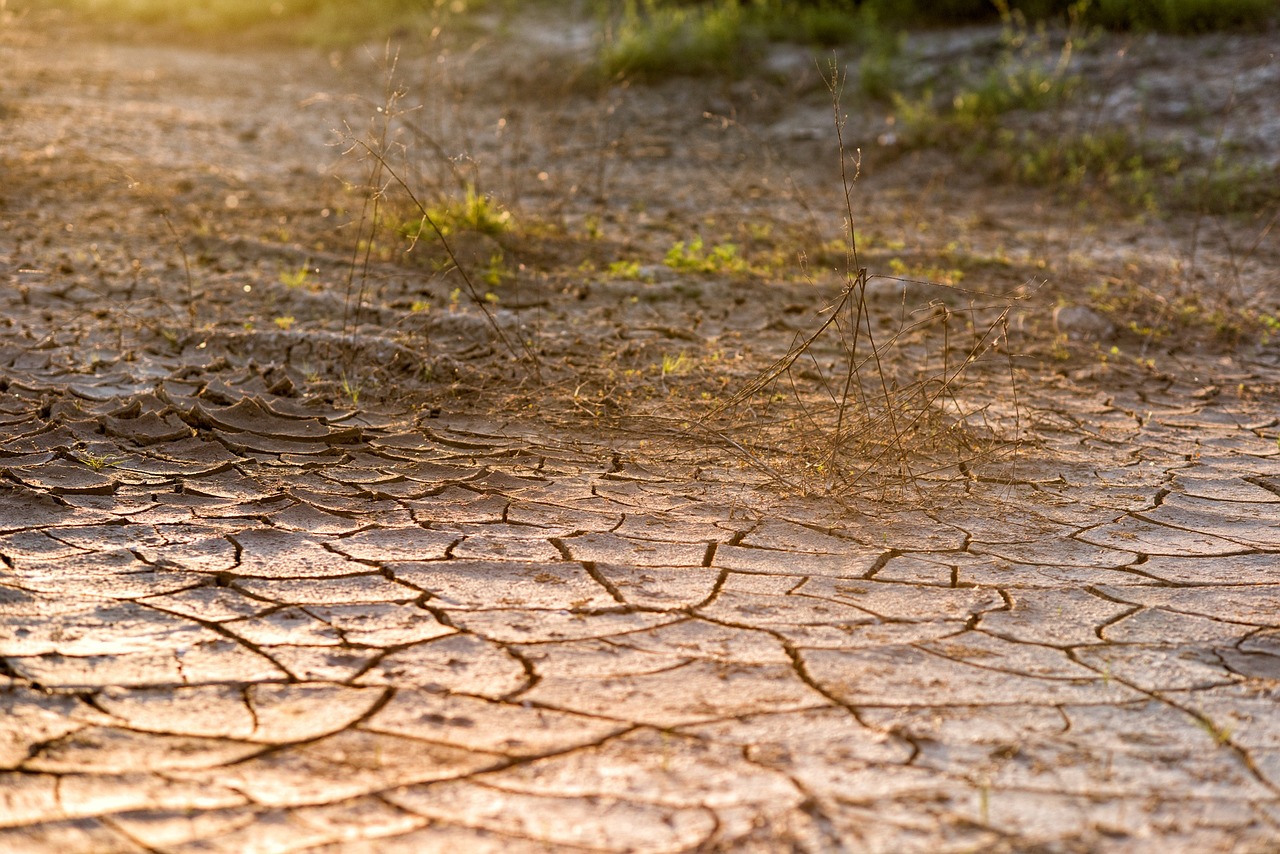 cracked ground, desert, dirt, nature, drought, brown desert