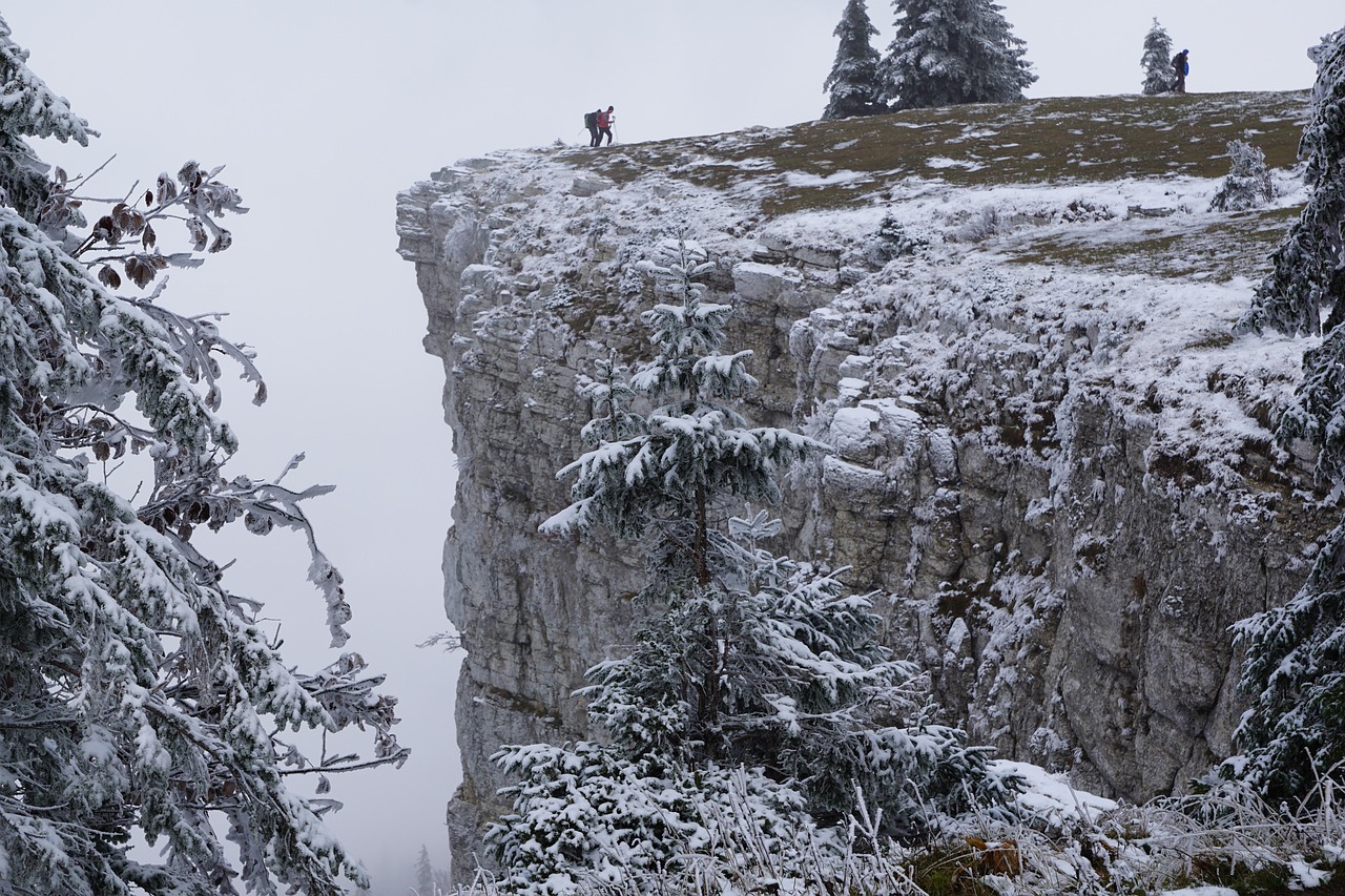 creux du van, nature, mountains, abyss, switzerland, cliff, fog, white, trees, law, winter