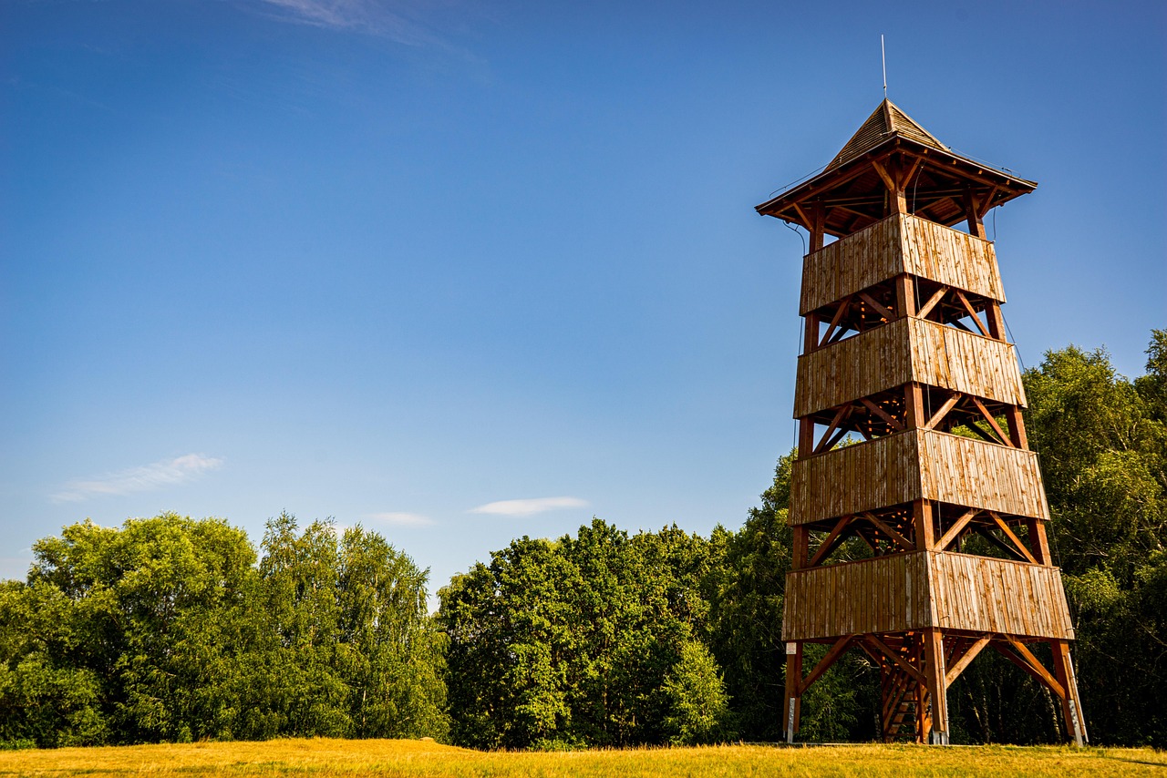 tower, observation tower, vacations, europe, hungary, kis balaton, summer, nature, landscape, wooden tower, observation tower, observation tower, observation tower, observation tower, observation tower, hungary, hungary, wooden tower, wooden tower, wooden tower, wooden tower, wooden tower