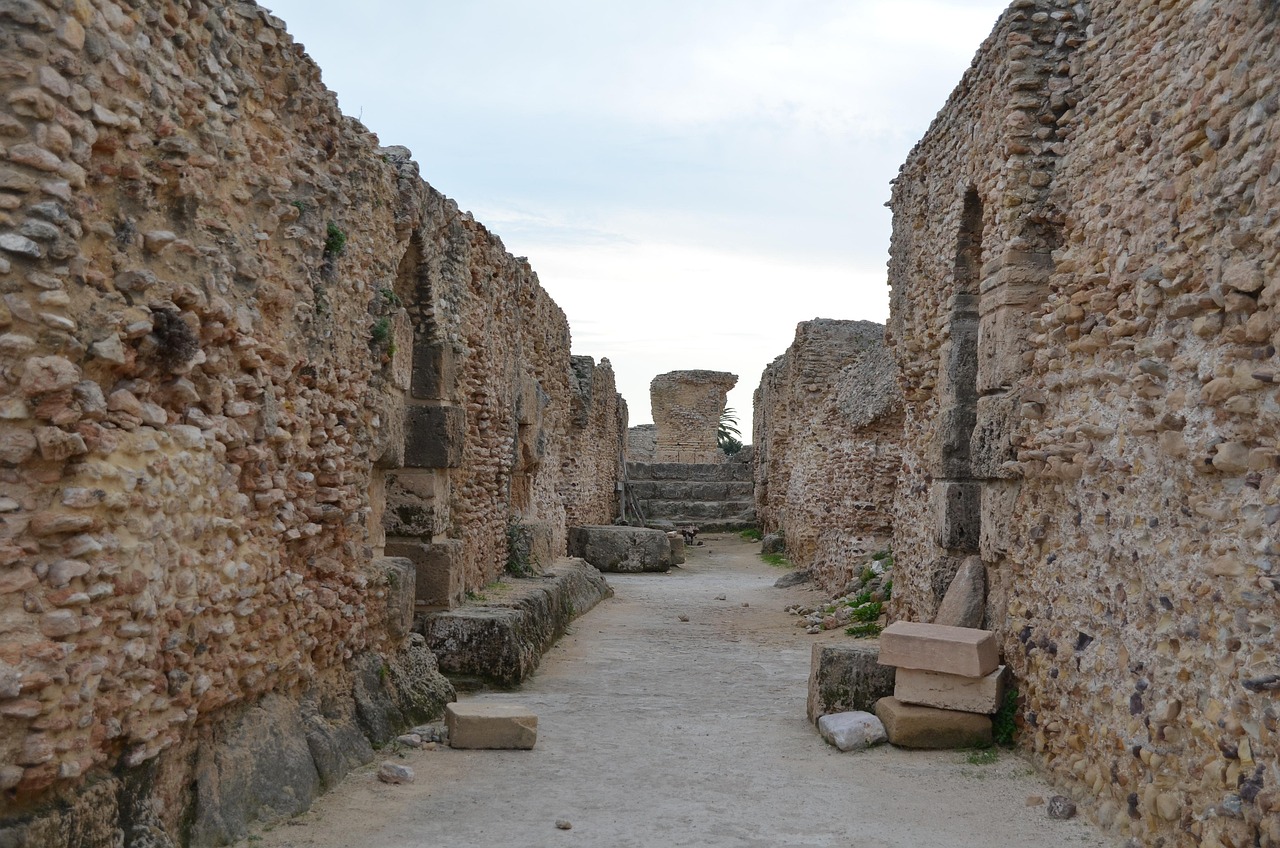 carthage, tunisia, roman ruins, archaeology, empire, mediterranean, carthage, carthage, carthage, carthage, carthage