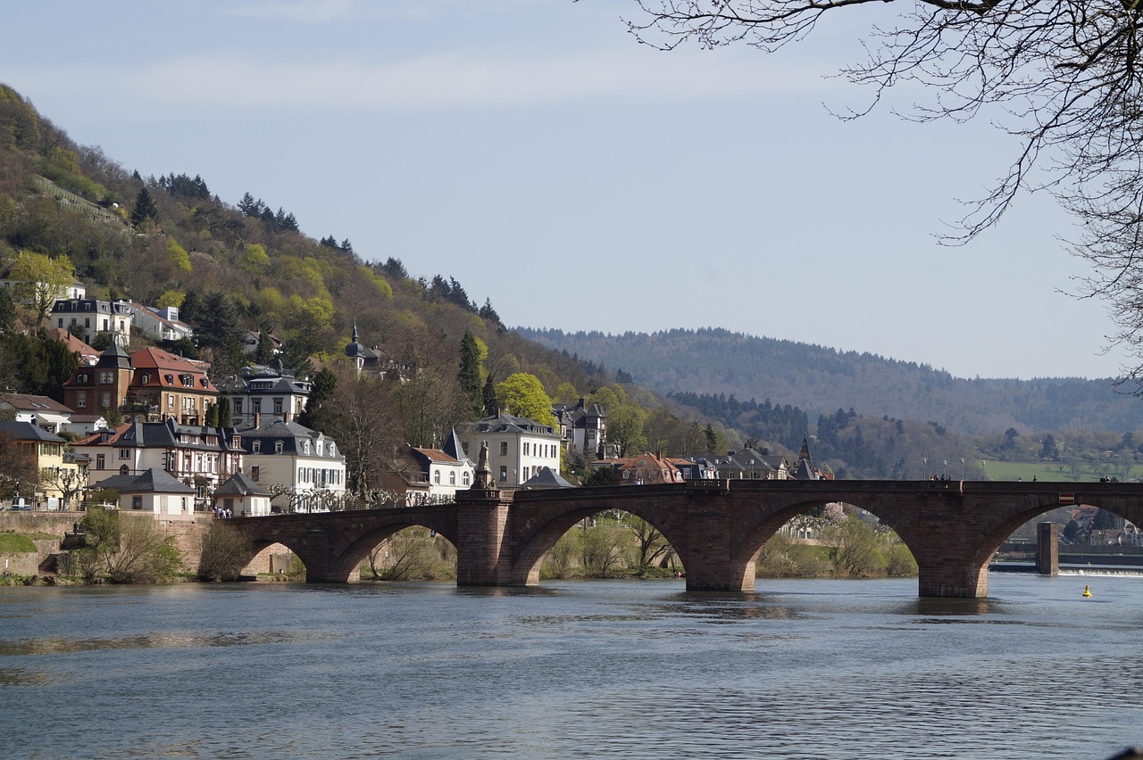 waters, bridge, nature, architecture, travel, flow, neckar, heidelberg, old bridge, landscape, city, villas, spring