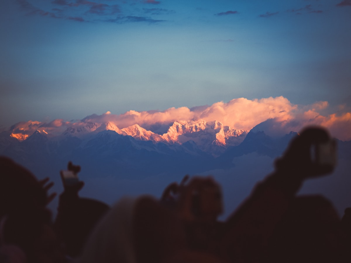 A group of people taking pictures with their cell phones