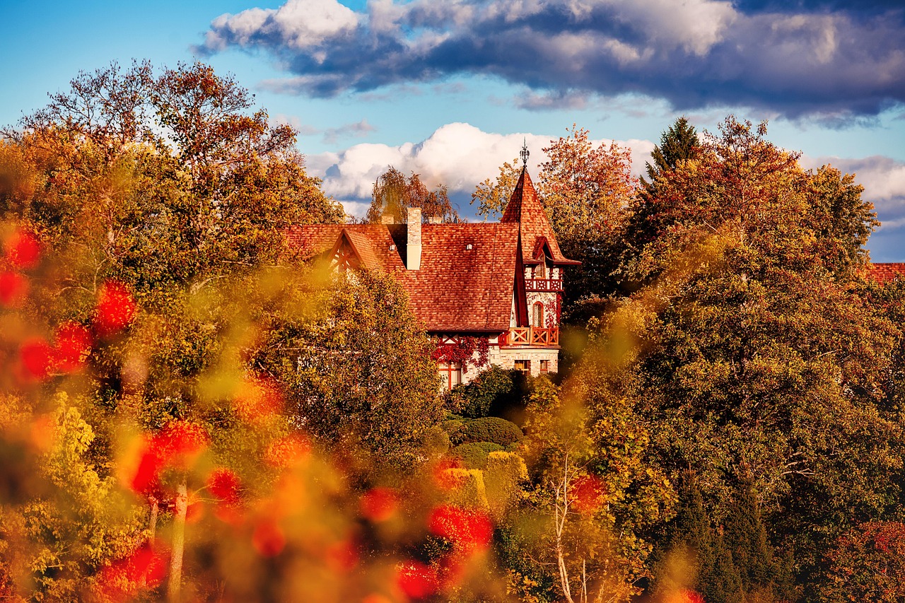 landscape, nature, manor, autumn, beauty, pskov region