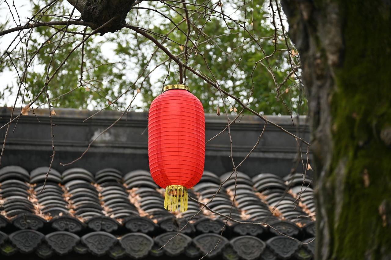 lantern, chinese new year, garden, festival, nature, spring festival, lunar new year
