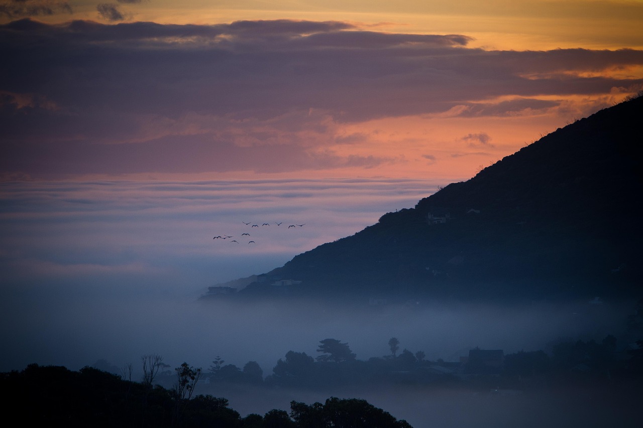 birds, sunset, clouds, sky, trees, forest, horizon, mist, colorful, dusk, nature, cape town, noordhoek, landscape, forest, cape town, cape town, cape town, cape town, cape town