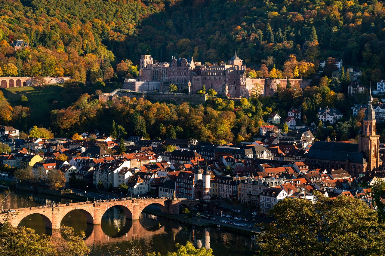 river, bridge, houses, forest, heidelberg, nature, historically, historic center, city