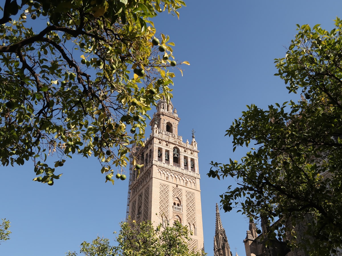 white and brown concrete building