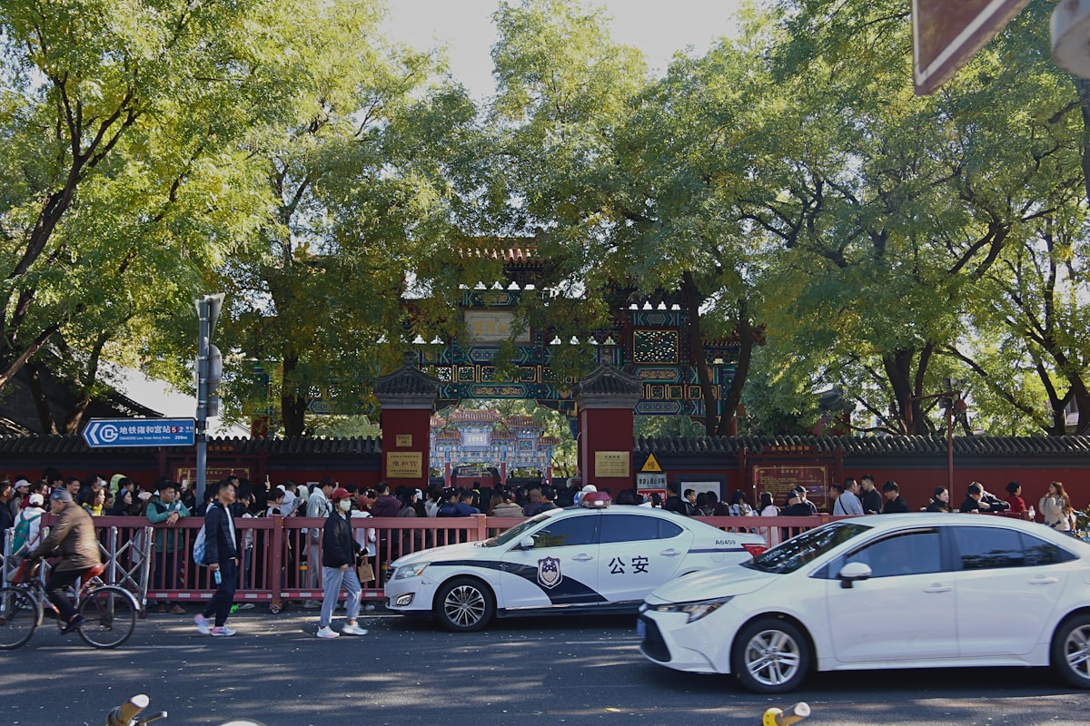 People gathered near ornate gate with cars on street.