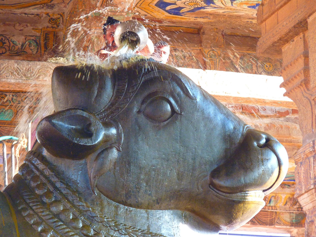 temple, temple bull, nandi, ceremony, brihadeswhwara temple, religion, holy, tanjore, india, nandi, nandi, nandi, nandi, nandi, tanjore, tanjore