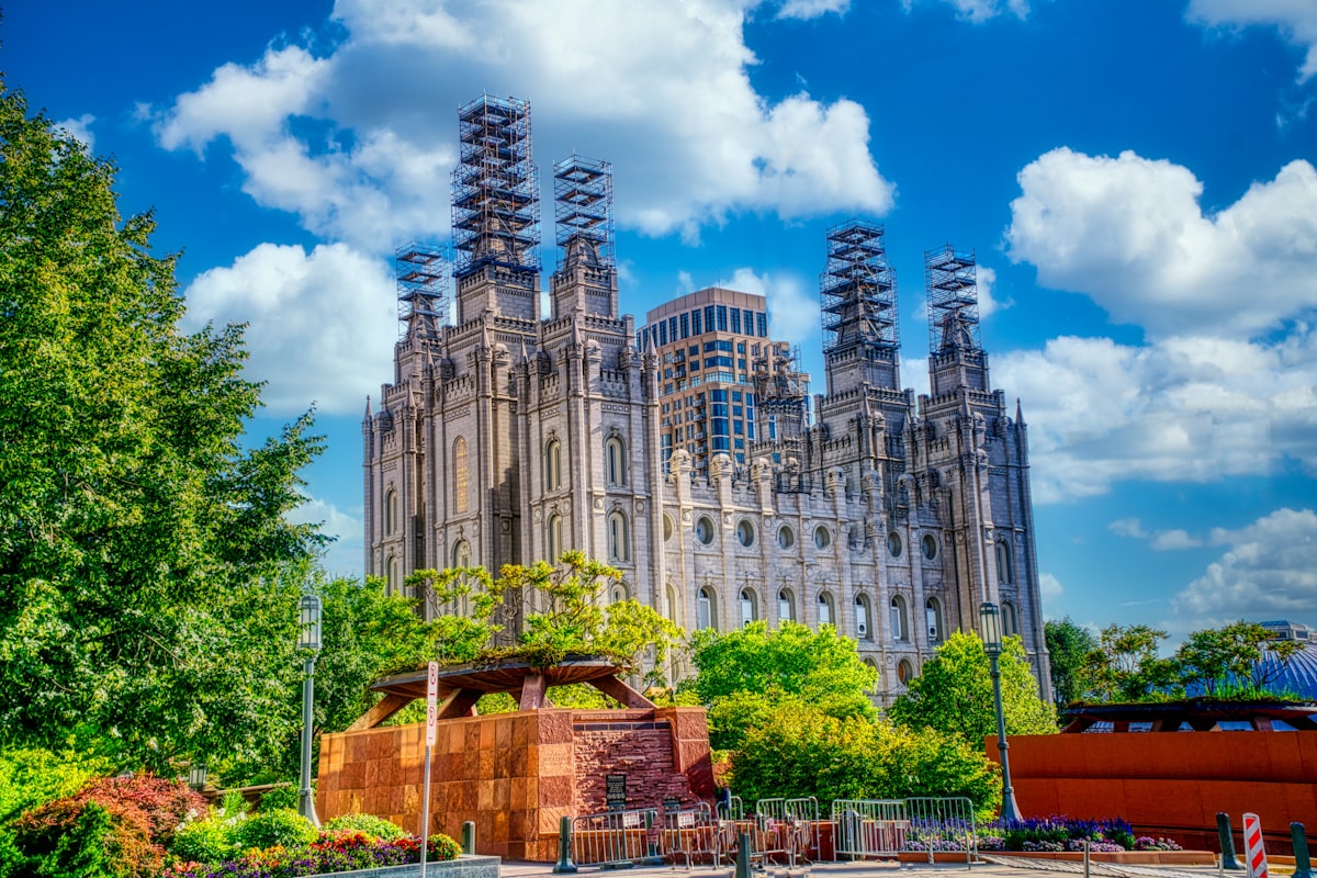 green trees near high rise building during daytime