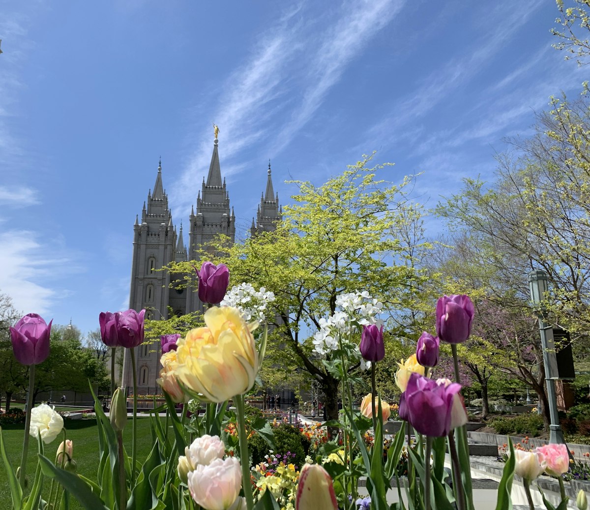a field of flowers with a castle in the background