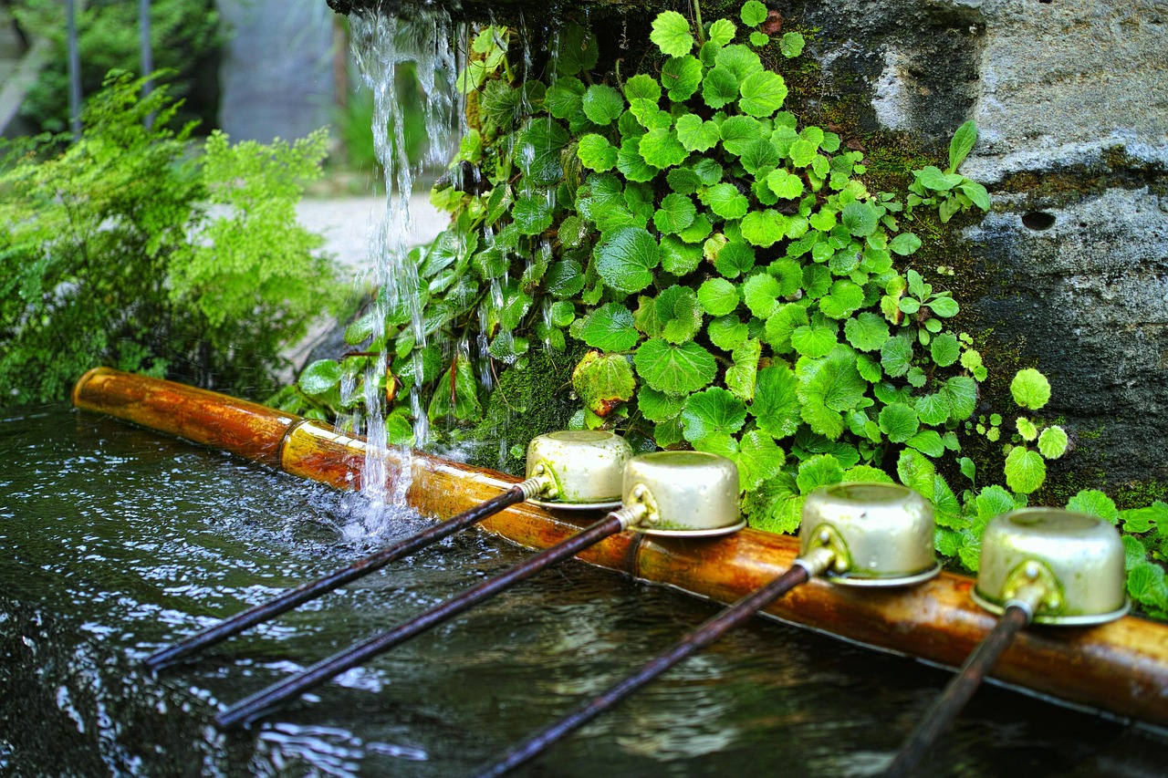 water, shrine, japan, natural, nature, plant, temple, spring water, waterside, jindaiji temple